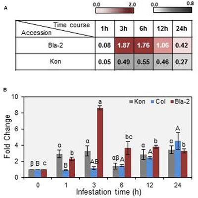 MATI, a Novel Protein Involved in the Regulation of Herbivore-Associated Signaling Pathways